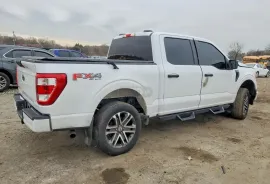 Ford, F150