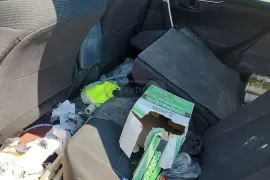 Toyota, RAV4