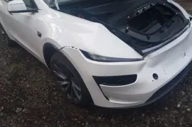 Tesla, Model Y