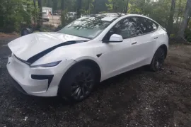 Tesla, Model Y
