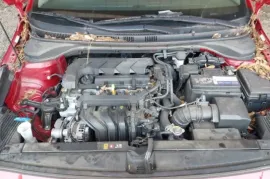 Hyundai, Accent
