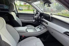 Hyundai, Palisade