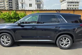 Hyundai, Palisade