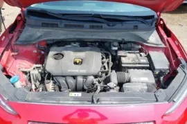 Hyundai, Kona