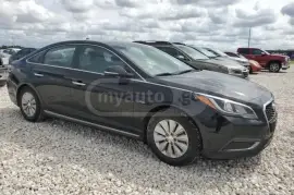 Hyundai, Sonata