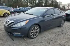 Hyundai, Sonata