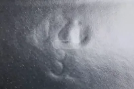 ავტონაწილები, დისკები და საბურავები, დისკები