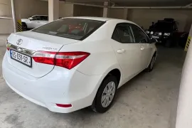 Toyota, Corolla