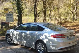 Ford, Fusion