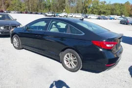 Hyundai, Sonata