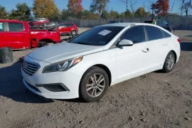 Hyundai, Sonata