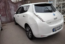 Nissan, Leaf