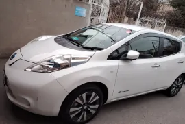 Nissan, Leaf