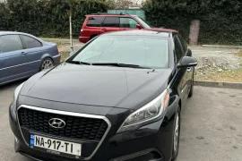 Hyundai, Sonata