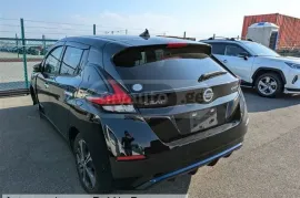 Nissan, Leaf