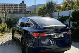 Tesla, Model X