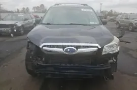 Subaru, Forester