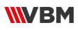 VBM GLOBAL