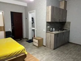 Apartment for sale, 1 Room, New building, Borjomi , Bakuriani