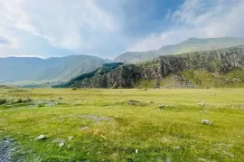 იყიდება მიწის ნაკვეთი, ფხელშე