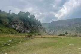 იყიდება მიწის ნაკვეთი, სტეფანწმინდა