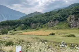 იყიდება მიწის ნაკვეთი, სტეფანწმინდა