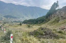 იყიდება მიწის ნაკვეთი, სტეფანწმინდა