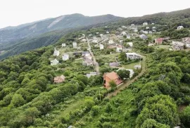 Land For Sale, Betania