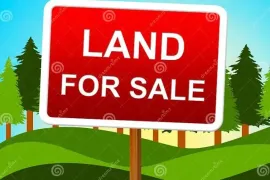 Land For Sale, Didi digomi