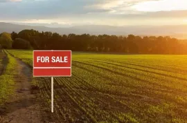 Land For Sale, Commercial, Old Rustavi