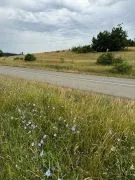 Land For Sale, Orbeti 