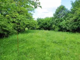 Land For Sale, Agricultural, Sajinibo 