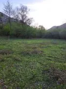 Land For Sale, Agricultural, Ghari