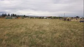 Land For Sale, Agricultural, Ponichala