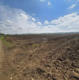 Land For Sale, Agricultural, Sagarejo