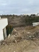 Land For Sale, Shindisi