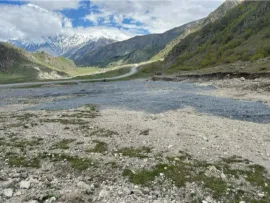 Land For Sale, Agricultural, Kazbegi