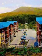 Daily Apartment Rent, 2 Room, New building, Borjomi , Bakuriani