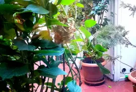 Apartment for sale, 4 Room, Old building, Tbilisi, Mtatsminda