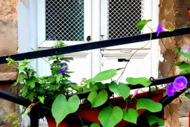 Apartment for sale, 4 Room, Old building, Tbilisi, Mtatsminda