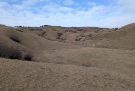 იყიდება მიწის ნაკვეთი, სასოფლო - სამეურნეო, დიდი დიღომი