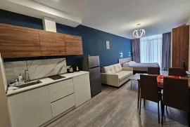 ქირავდება ბინა დღიურად, 1 ოთახიანი, ახალი აშენებული, ბორჯომი, ბაკურიანი