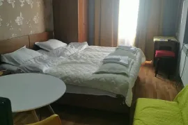 Продается квартира, 1 Kомнатная, Новостройка, Боржомский район, Бакуриани