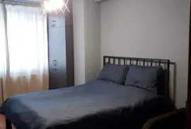 Аренда квартир посуточно, 3 Kомнатная, Старое здание, Боржомский район, Бакуриани