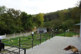 Land For Sale, Non Agricultural, Signagi