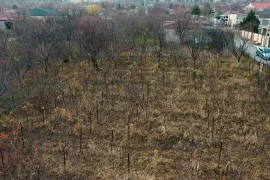 Land For Sale, Commercial, Tserovani