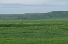 Land For Sale, Non Agricultural