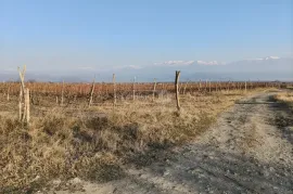 Land For Sale, Agricultural, Akhmeta