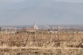 Land For Sale, Agricultural, Akhmeta