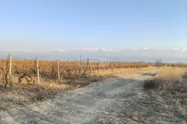 Land For Sale, Agricultural, Akhmeta